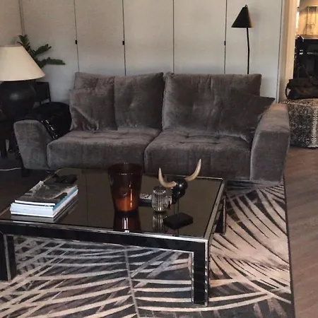 Stylish 4-star Cocoon In The Heart Of Le Marais Nicois Nice